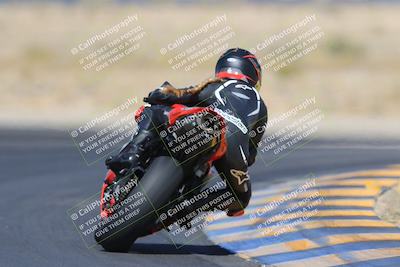 media/May-13-2023-SoCal Trackdays (Sat) [[8a473a8fd1]]/Turn 11 Backside (945am)/